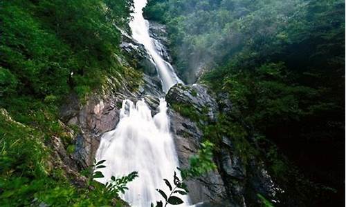 杭州天目山旅游攻略一天游,杭州天目山旅游