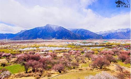 林芝旅游攻略购物推荐,林芝旅游攻略游攻略