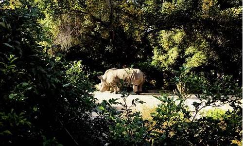 动植物公园建设,动物植物公园