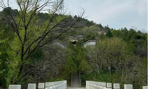 白水寺森林公园桃花开了吗最近_白水寺森林公园桃花开了吗