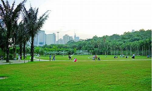 深圳莲花山公园在哪个区,深圳莲花山公园属哪个区