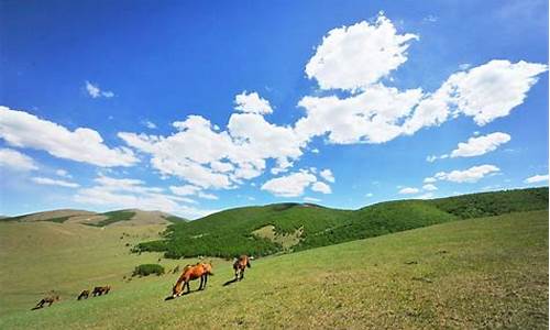 丰宁坝上草原门票价格_丰宁坝上草原旅游攻略2天自驾路线推荐