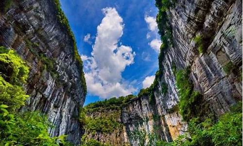 仙女山旅游景点门票,仙女山旅游景点门票免费