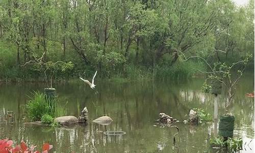 新江湾湿地步道_新江湾城湿地公园门票