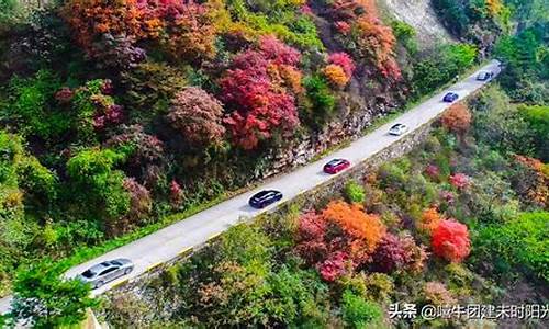 翠华山景区门票在线预约,翠华山路线攻略一日游