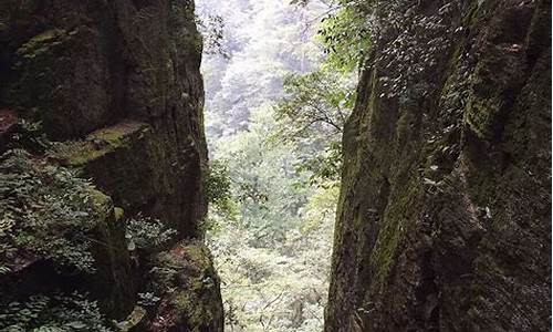 天目山旅游攻略两日游路线推荐,天目山二日游攻略