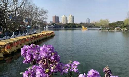 上海长风公园门票是多少海洋水族馆,上海长风公园·长风海洋世界