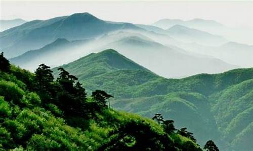 天目山 攻略_天目山旅游攻略三日游推荐