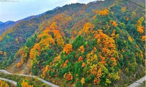 光雾山旅游攻略成都路线,光雾山成都自驾需要几天时间