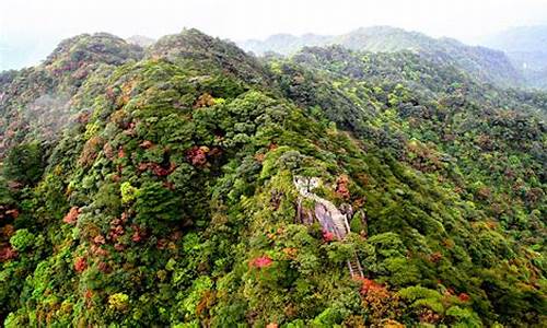 南岭森林公园住宿_南岭国家森林公园自由行