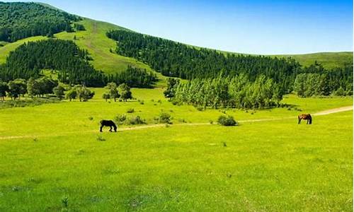 自驾承德木兰围场旅游攻略_承德旅游攻略必玩的景点木兰围场