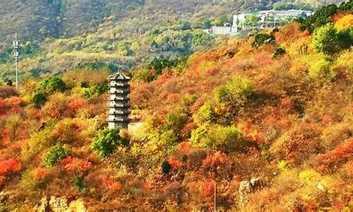 北京西山森林公园路线,北京西山森林公园路线图片