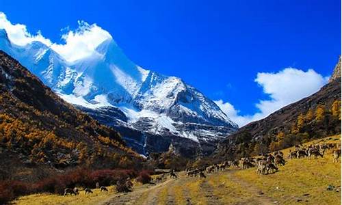 稻城亚丁景区景点介绍_稻城亚丁旅游攻略景点大全