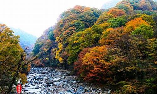 巴中光雾山旅游攻略一日游最佳路线,巴中光雾山旅游攻略一日游