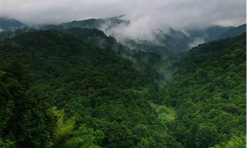 南昆山旅游攻略自由行攻略最新_南昆山景点攻略