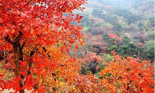 北京香山公园游览图和攻略,北京香山公园门票价