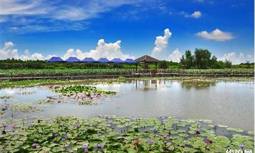 万顷沙哪里有沙滩_万顷沙城市湿地公园