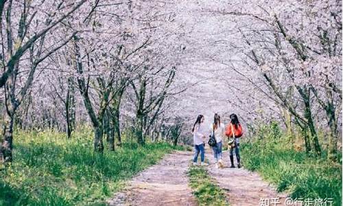 春季旅游景点广告_春季旅游宣传词