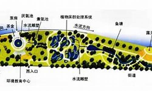 活水公园的水净化系统_活水公园的水净化系统原理