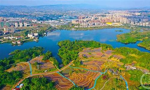 重庆湿地公园管理-目前重庆市共建有几个市级湿地公园