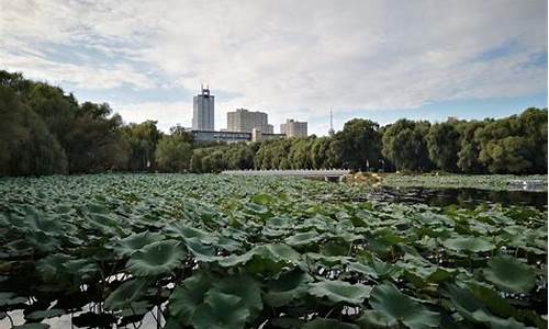 保定南湖公园景点介绍-保定南湖公园