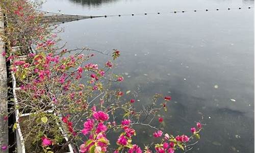 流花湖公园全景-流花湖公园简介