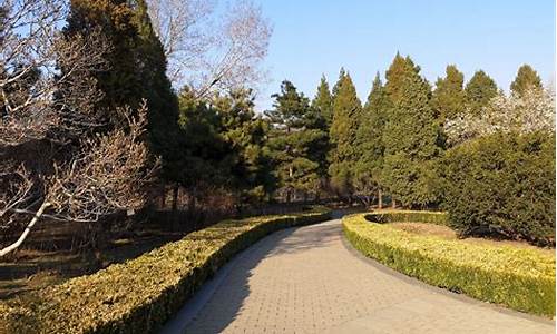 北京植物园旅游路线_北京植物园旅游路线攻